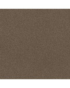 Shaw TruSplendor Chestnut Carpet - SH-5E464-00707
