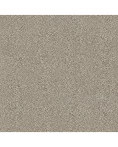 Shaw TruSpirit I Mist Carpet - SH-5E496-00103