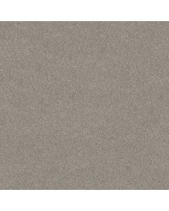 Shaw TruSpirit I Lady Liberty Carpet - SH-5E496-00502