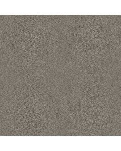 Shaw TruSpirit I Iron Works Carpet - SH-5E496-00506