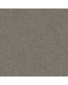 Shaw TruSpirit I Concrete Carpet - SH-5E496-00507