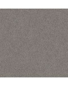 Shaw TruSpirit I Stainless Carpet - SH-5E496-00508