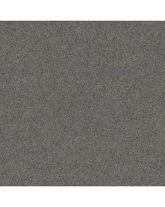 Shaw TruSpirit I Quarry Carpet - SH-5E496-00509
