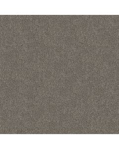 Shaw TruSpirit I Cobble Drive Carpet - SH-5E496-00510