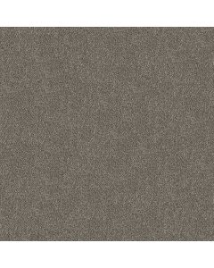 Shaw TruSpirit I City Scape Carpet - SH-5E496-00511