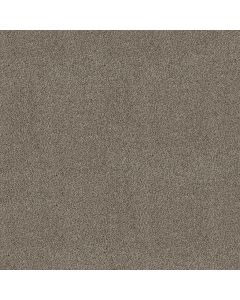 Shaw TruSpirit I Truffle Carpet - SH-5E496-00701