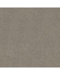 Shaw TruSpirit I Timeless Tan Carpet - SH-5E496-00704