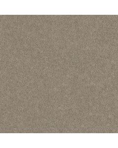 Shaw TruSpirit I Cottage Carpet - SH-5E496-00705