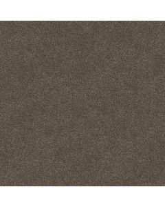 Shaw TruSpirit I Chestnut Carpet - SH-5E496-00707
