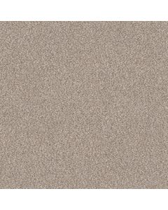 Shaw TruSpirit II Mist Carpet - SH-5E497-00103