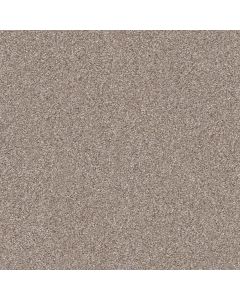 Shaw TruSpirit II Lady Liberty Carpet - SH-5E497-00502