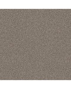 Shaw TruSpirit II Iron Works Carpet - SH-5E497-00506