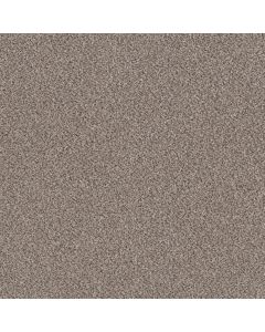 Shaw TruSpirit II Concrete Carpet - SH-5E497-00507