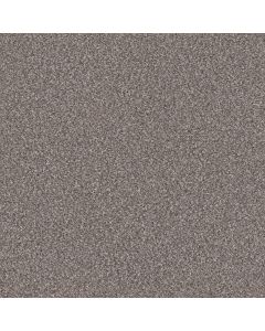 Shaw TruSpirit II Stainless Carpet - SH-5E497-00508