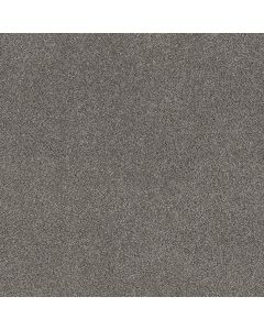 Shaw TruSpirit II Quarry Carpet - SH-5E497-00509