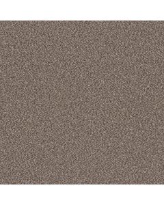 Shaw TruSpirit II Cobble Drive Carpet - SH-5E497-00510