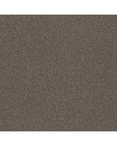 Shaw TruSpirit II City Scape Carpet - SH-5E497-00511