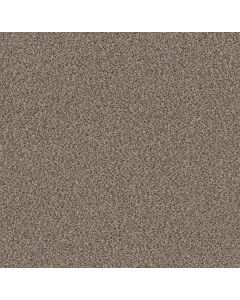 Shaw TruSpirit II Truffle Carpet - SH-5E497-00701