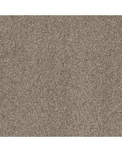 Shaw TruSpirit II Timeless Tan Carpet - SH-5E497-00704