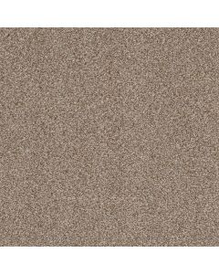 Shaw TruSpirit II Cottage Carpet - SH-5E497-00705