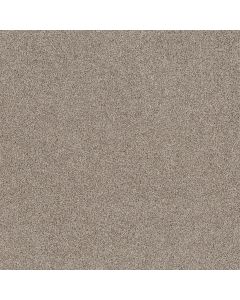 Shaw TENACIOUS WIN Daytona Sand Carpet - SH-5E539-00105