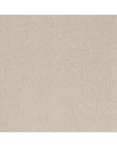 Shaw SMOOTH TALK I Halo Carpet - SH-5E540-00100