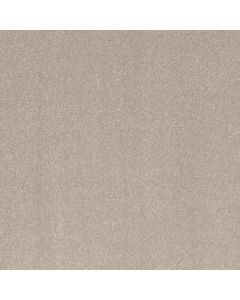Shaw SMOOTH TALK I Bare Mineral Carpet - SH-5E540-00105