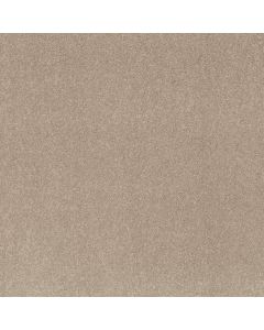 Shaw SMOOTH TALK I Tassel Carpet - SH-5E540-00107