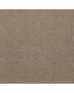 Shaw SMOOTH TALK I Warm Wood Carpet - SH-5E540-00201
