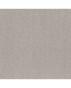 Shaw SMOOTH TALK I Silver Mist Carpet - SH-5E540-00540