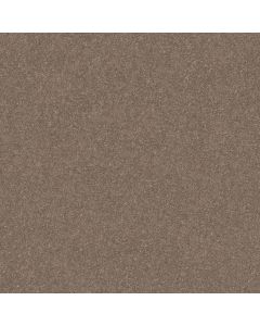 Shaw SMOOTH TALK I Cedar Key Carpet - SH-5E540-00701