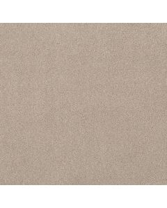 Shaw Live on Comfort Natural Blonde Carpet - SH-5E546-00143