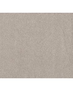 Shaw Live on Comfort Mountain Mist Carpet - SH-5E546-00146