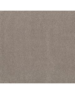 Shaw Live on Comfort Afterglow Carpet - SH-5E546-00147