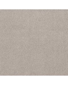 Shaw Live on Comfort Brushed Aluminu Carpet - SH-5E546-00148