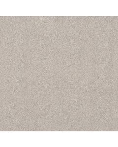 Shaw Live on Comfort Horizon Carpet - SH-5E546-00149