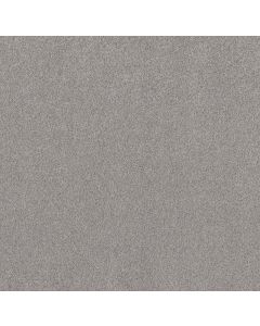 Shaw Live on Comfort Spotlight Carpet - SH-5E546-00532