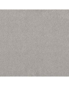 Shaw Live on Comfort Vapor Carpet - SH-5E546-00534