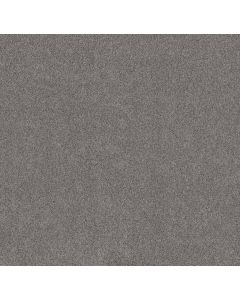 Shaw Live on Comfort Metro Gray Carpet - SH-5E546-00540