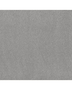 Shaw Live on Comfort Sentimental Carpet - SH-5E546-00558