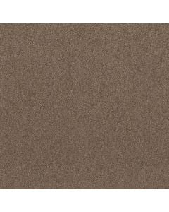 Shaw Live on Comfort Classic Caramel 5E546-00740 Carpet