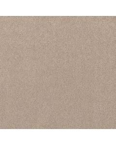 Shaw Live on Comfort Palm Desert 5E546-00741 Carpet