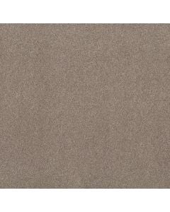 Shaw Live on Comfort Carriage House 5E546-00742 Carpet