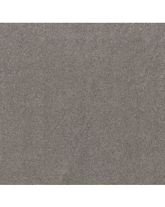 Shaw Live on Comfort Century Taupe 5E546-00744 Carpet