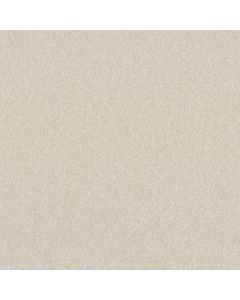 Shaw HARD AT PLAY I 12' Snowfall Carpet - SH-5E557-00150