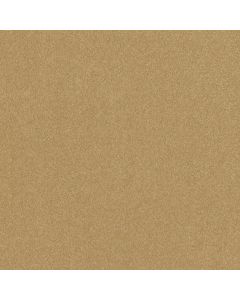 Shaw HARD AT PLAY I 12' Honeycomb Carpet - SH-5E557-00207