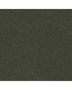 Shaw HARD AT PLAY I 12' Rerooted Nature Carpet - SH-5E557-00300