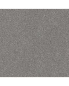 Shaw HARD AT PLAY II 12' Vintage Carpet - SH-5E558-00509