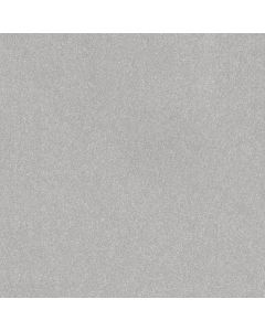 Shaw HARD AT PLAY II 12' Lilac Gray Carpet - SH-5E558-00550