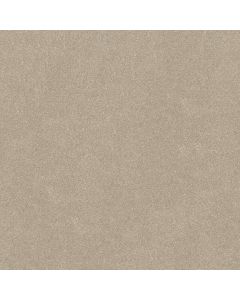 Shaw HARD AT PLAY III 12' Natural Carpet - SH-5E559-00109